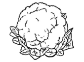 Disegni di Cavolfiori da colorare