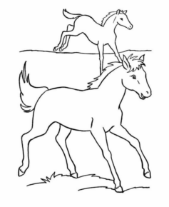 Disegno di cavallo da stampare e colorare 247