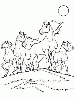 Disegno di cavallo da stampare e colorare 7