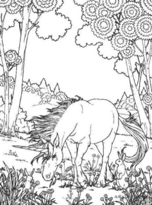 Disegno di unicorno da stampare e colorare 128