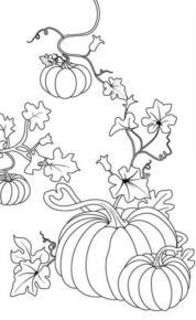 Disegno di zucca da stampare e colorare 22