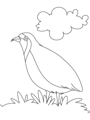 Disegno di uccello da stampare e colorare 118
