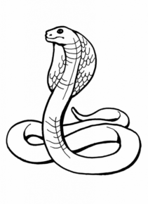 Disegno di serpente da stampare e colorare 56