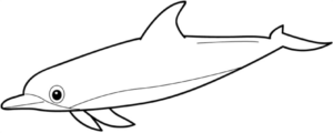 Disegno di delfino da stampare e colorare 73