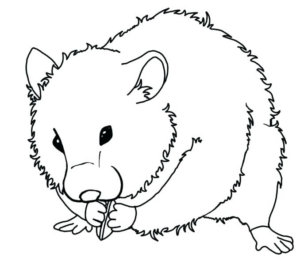Disegno di criceto da stampare e colorare 9