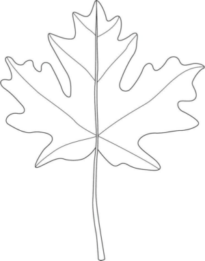 Disegno di foglia da stampare e colorare 3