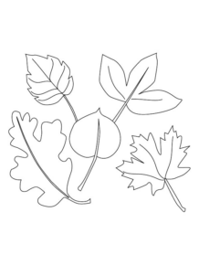 Disegno di foglia da stampare e colorare 144