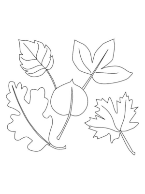 Disegno di foglia da stampare e colorare 144