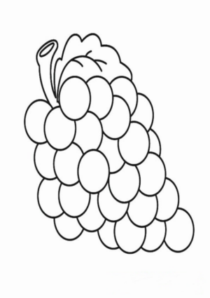 Disegno di uva da stampare e colorare 28