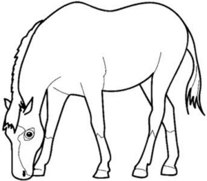Disegno di cavallo da stampare e colorare 60