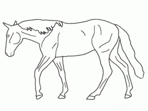 Disegno di cavallo da stampare e colorare 183