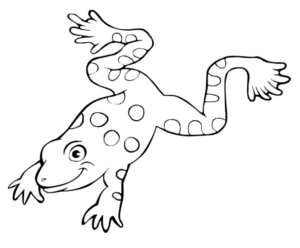 Disegno di rana da stampare e colorare 3