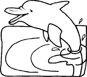 Disegno di delfino da stampare e colorare 47