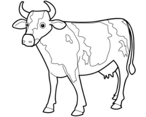 Disegno di mucca da stampare e colorare 94