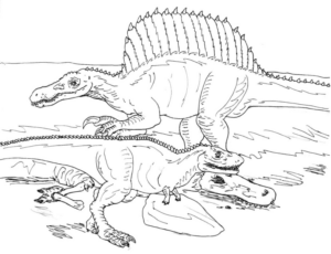 Disegno di Spinosauro da stampare e colorare 9