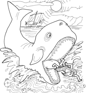 Disegno di squalo da stampare e colorare 4