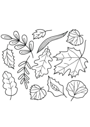 Disegno di foglia da stampare e colorare 164