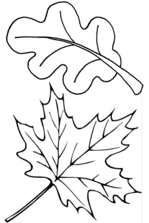 Disegno di foglia da stampare e colorare 160