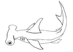 Disegno di squalo da stampare e colorare 33