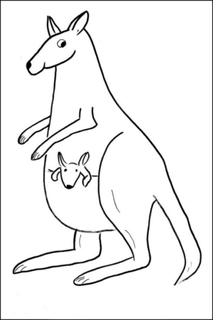 Disegno di canguro da stampare e colorare 32