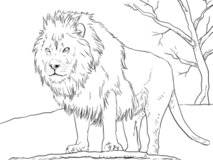 Disegno di leone da stampare e colorare 79