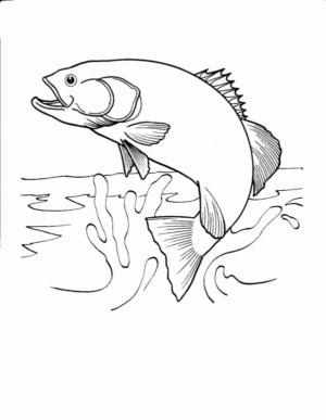 Disegno di pesce da stampare e colorare 10