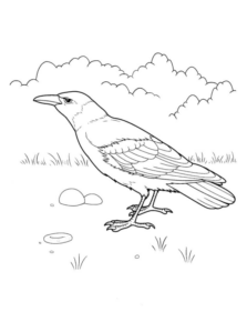 Disegno di uccello da stampare e colorare 127