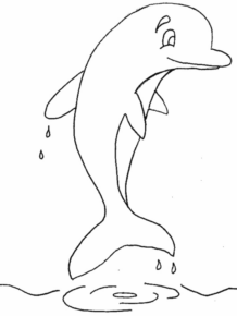 Disegno di delfino da stampare e colorare 13