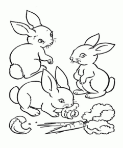 Disegno di coniglio da stampare e colorare 213