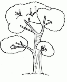 Disegno di albero da stampare e colorare 121