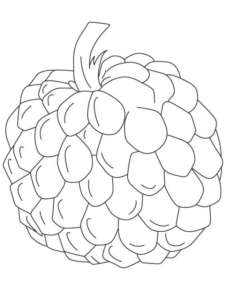 Disegno di mora da stampare e colorare