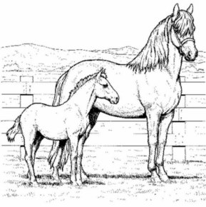 Disegno di cavallo da stampare e colorare 210