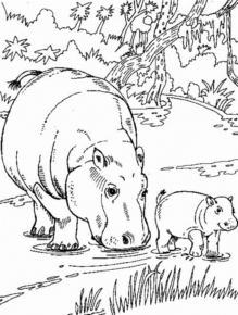 Disegno di ippopotamo da stampare e colorare 33