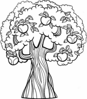 Disegno di albero da frutta da stampare e colorare 24