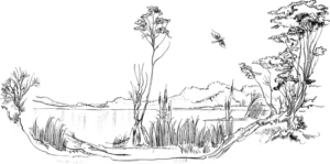 Disegno di paesaggio da stampare e colorare 72