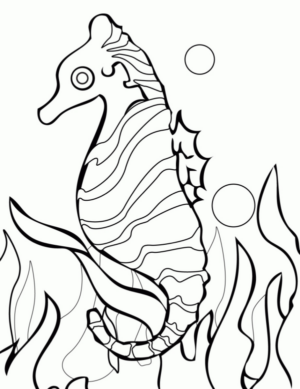 Disegno di cavalluccio marino da stampare e colorare 2