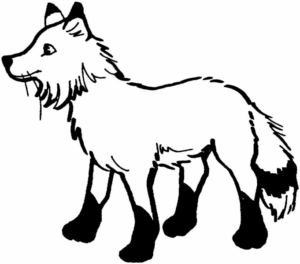 Disegno di volpe da stampare e colorare 110