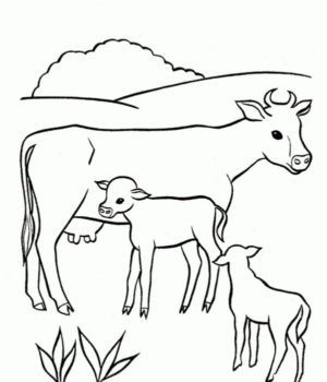 Disegno di mucca da stampare e colorare 73