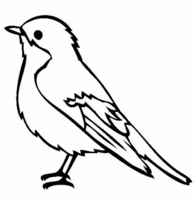 Disegno di passero da stampare e colorare 40