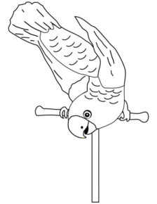 Disegno di pappagallo da stampare e colorare 73