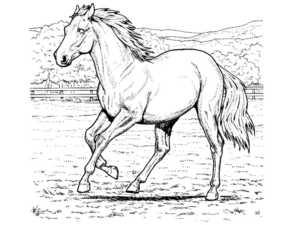 Disegno di cavallo da stampare e colorare 22