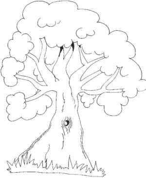 Disegno di albero da stampare e colorare 4