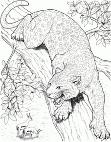 Disegno di leopardo da stampare e colorare 26