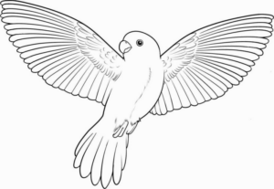 Disegno di pappagallo da stampare e colorare