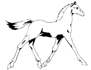 Disegno di cavallo da stampare e colorare 73