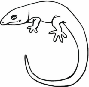Disegno di lucertola da stampare e colorare 29