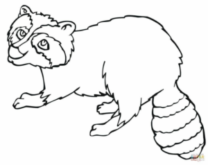 Disegno di procione da stampare e colorare 26