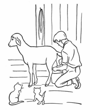 Disegno di pecora da stampare e colorare 14