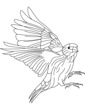 Disegno di falco da stampare e colorare 20