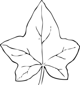 Disegno di foglia da stampare e colorare 66